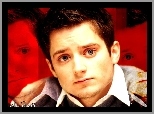 Twarz, Elijah Wood